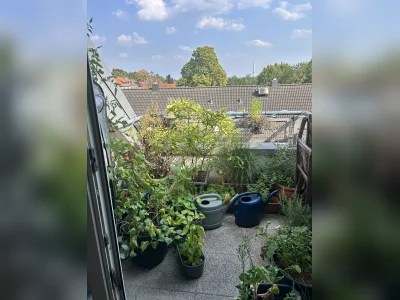 Vorschaubild 5