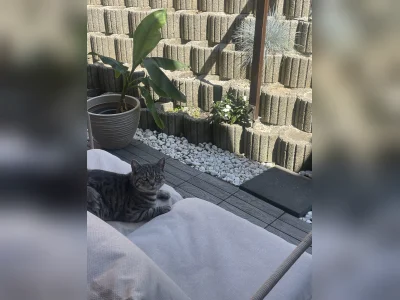 Vorschaubild 1