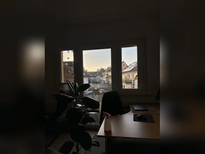 Vorschaubild 2