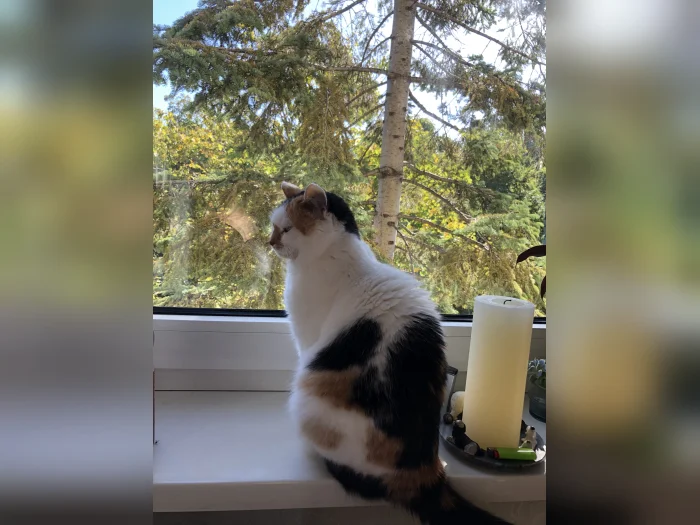 Vorschaubild 7