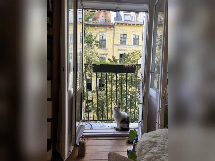 Vorschaubild 3