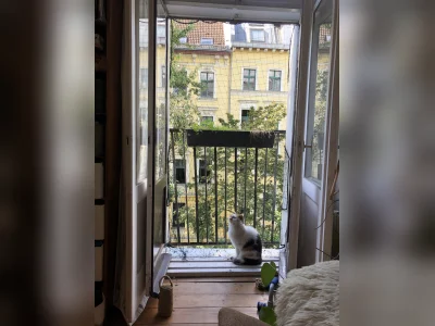 Vorschaubild 3