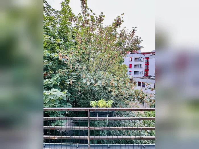 Vorschaubild 8