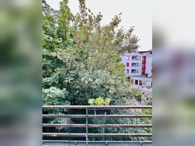 Vorschaubild 8