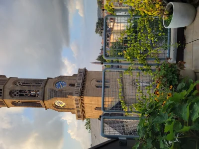 Vorschaubild 3