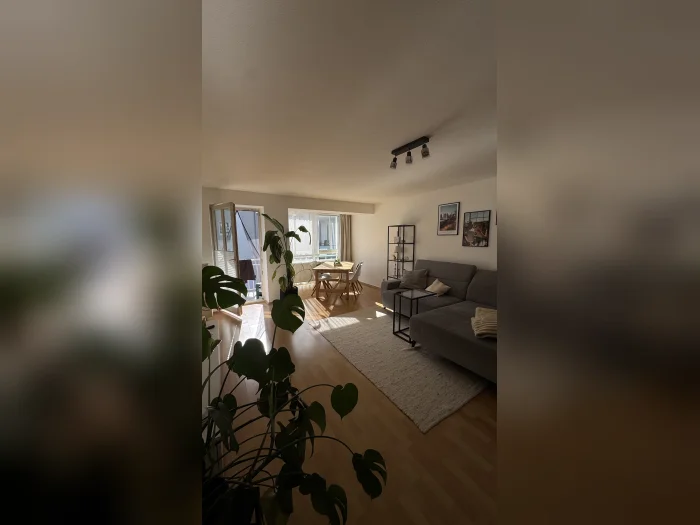 Vorschaubild 2