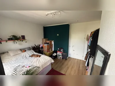 Vorschaubild 11