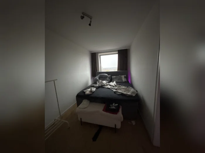 Vorschaubild 3