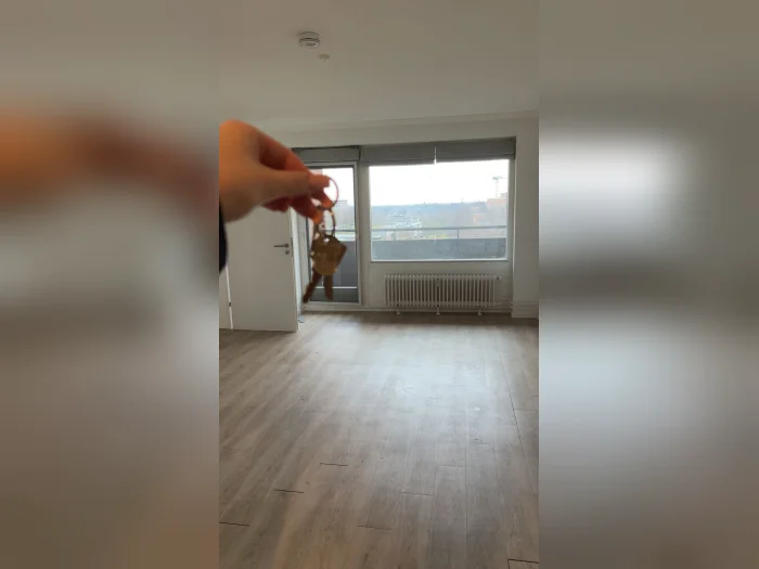 Vorschaubild 1