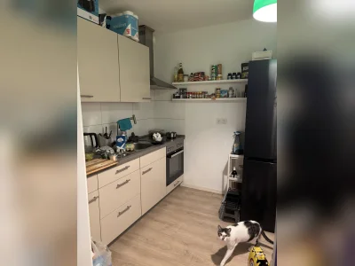 Vorschaubild 4