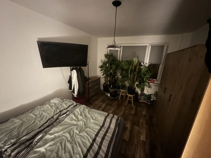 Vorschaubild 2
