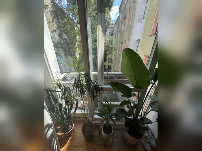 Vorschaubild 4