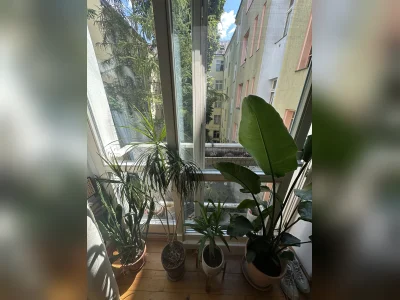 Vorschaubild 4