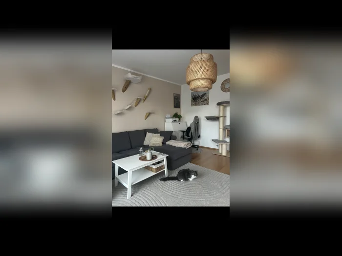 Vorschaubild 7