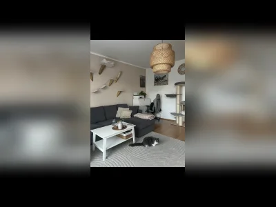 Vorschaubild 7