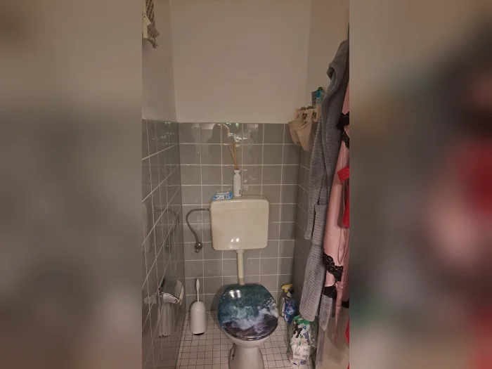 Vorschaubild 5
