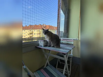 Vorschaubild 4