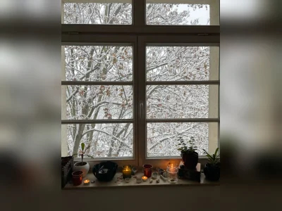 Vorschaubild 5