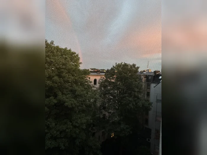 Vorschaubild 11