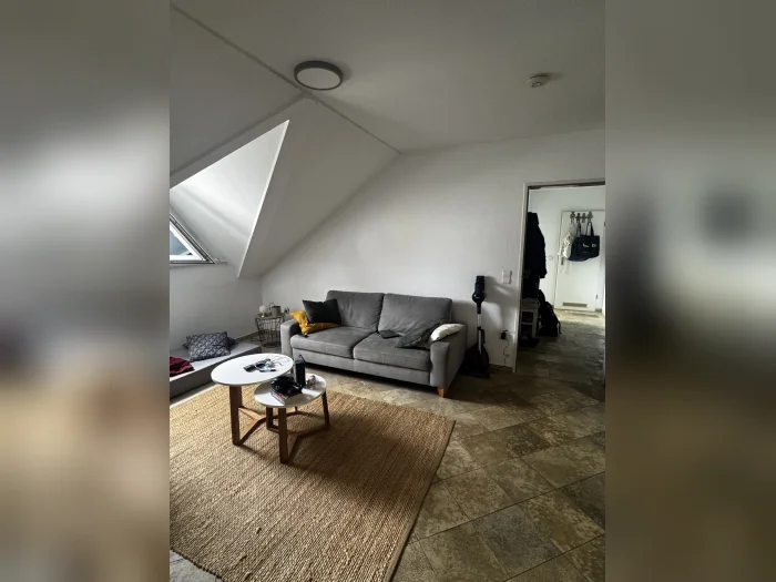Vorschaubild 4