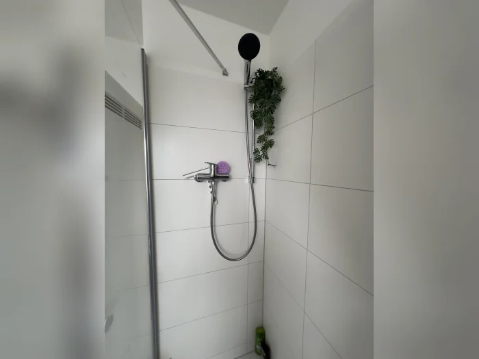 Vorschaubild 7