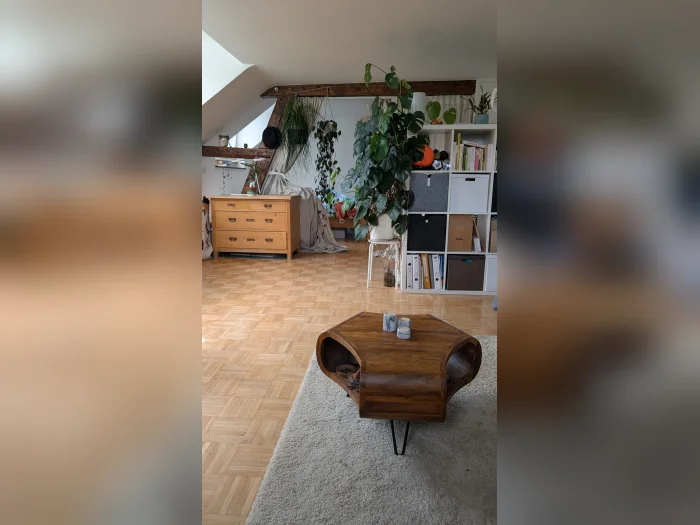 Vorschaubild 5