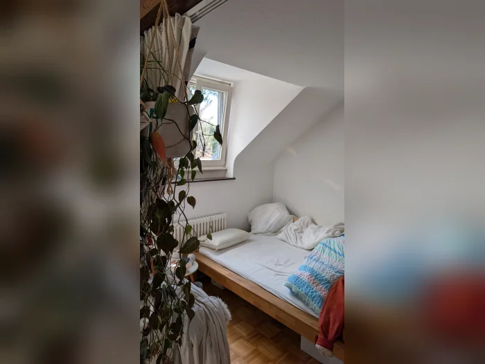 Vorschaubild 6