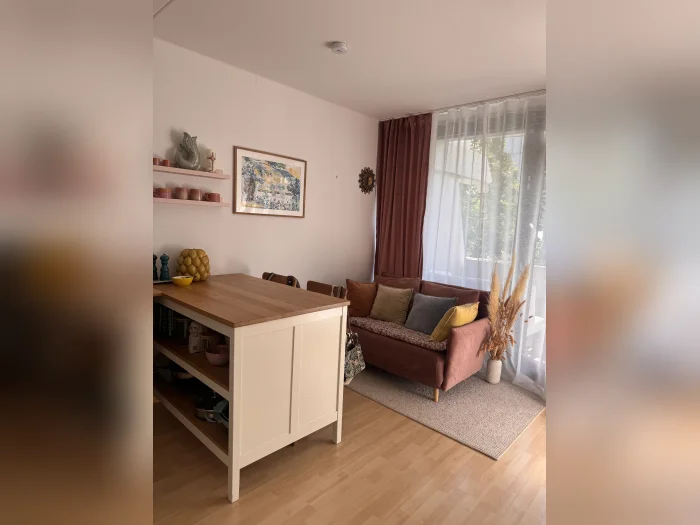 Vorschaubild 1