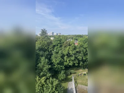 Vorschaubild 3