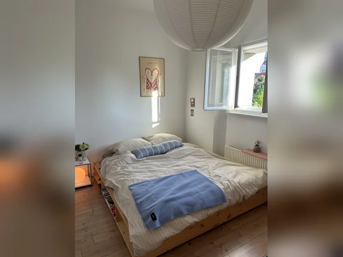 Vorschaubild 1