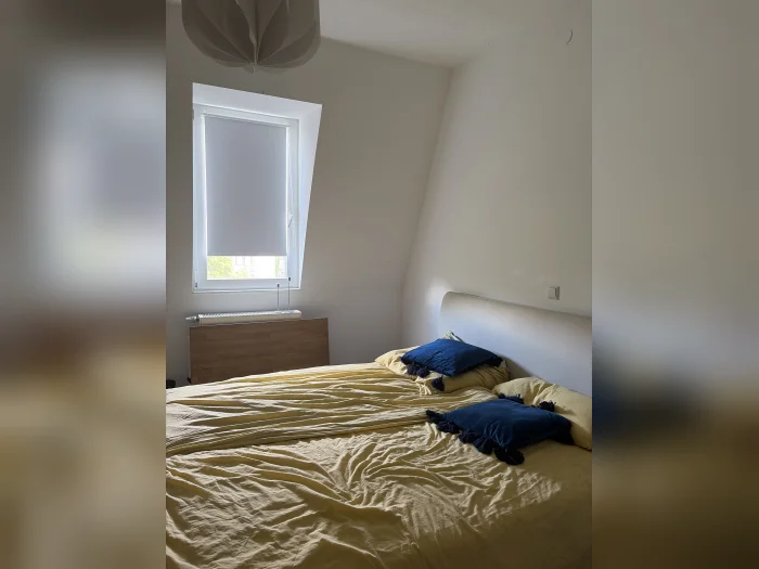Vorschaubild 5