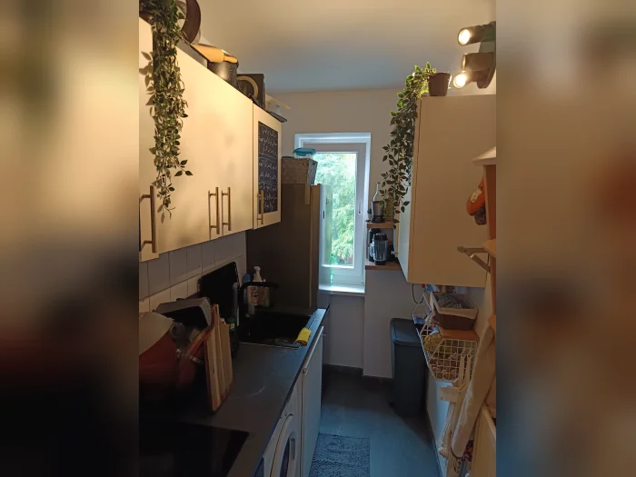Vorschaubild 14
