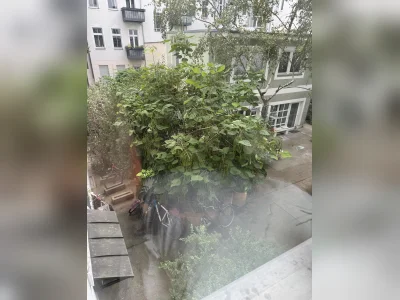 Vorschaubild 5