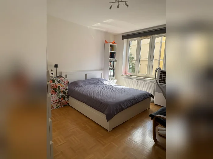 Vorschaubild 1