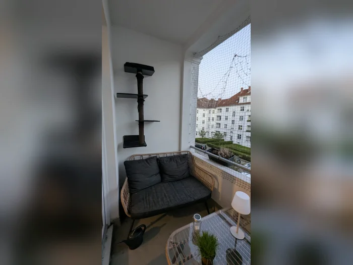 Vorschaubild 2