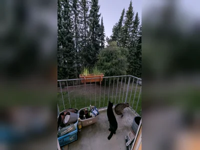 Vorschaubild 11