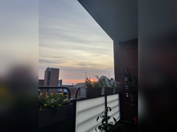 Vorschaubild 4