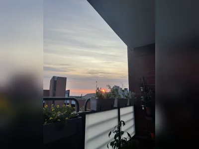 Vorschaubild 4
