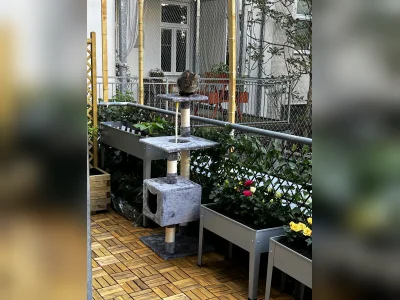 Vorschaubild 5