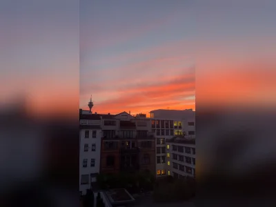 Vorschaubild 9