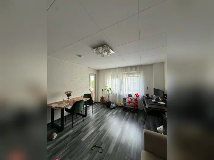 Vorschaubild 1