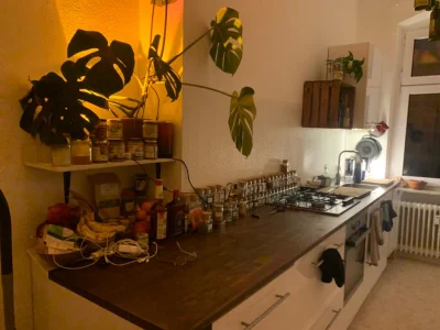 Vorschaubild 4