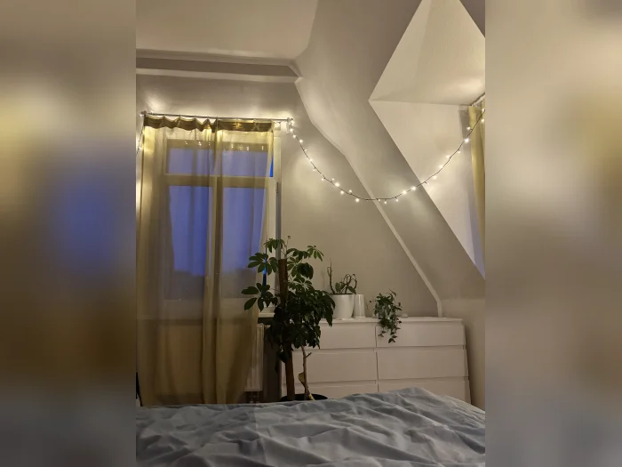 Vorschaubild 2