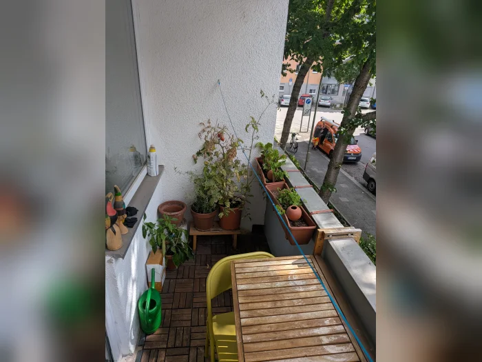 Vorschaubild 8