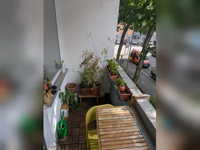 Vorschaubild 8