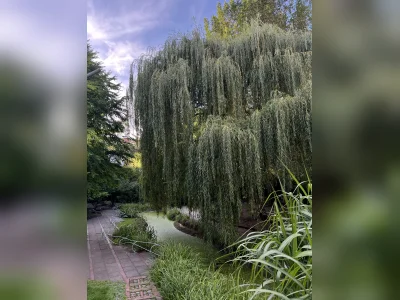 Vorschaubild 5
