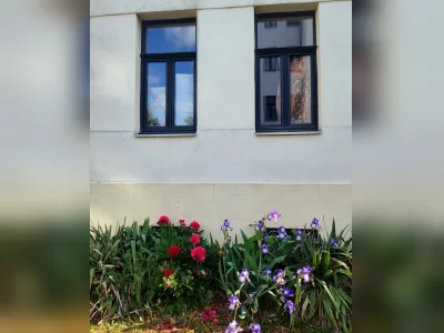 Vorschaubild 1