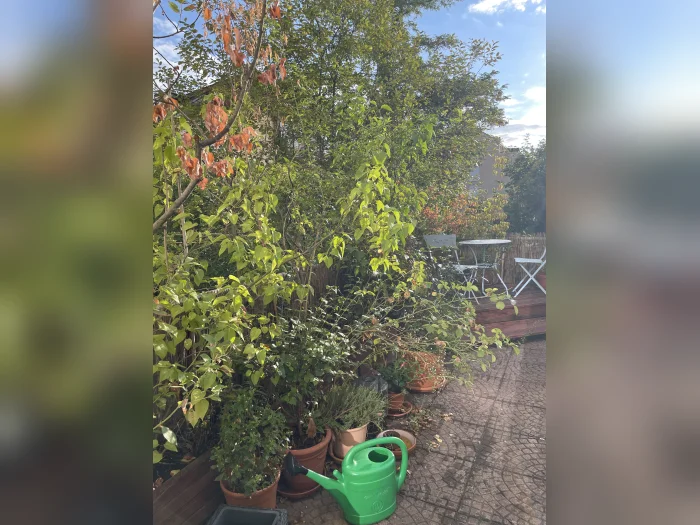 Vorschaubild 3