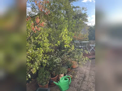 Vorschaubild 3