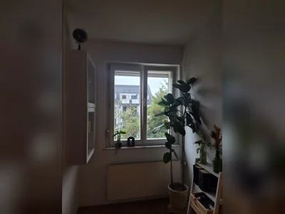 Vorschaubild 3